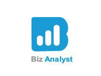 Biz Analyst